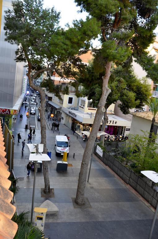 Hostal El Jardin 베니돔 외부 사진